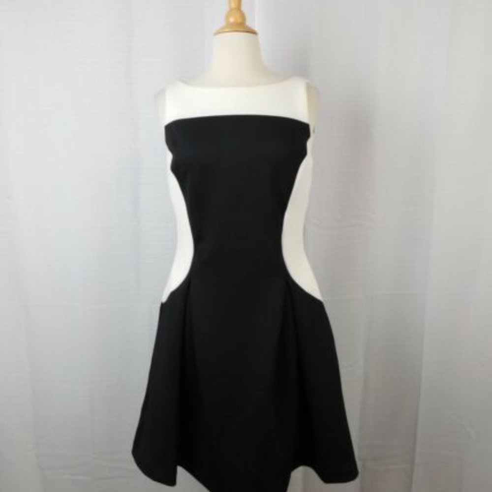 American Living Color blocked Fit and Flair Dress